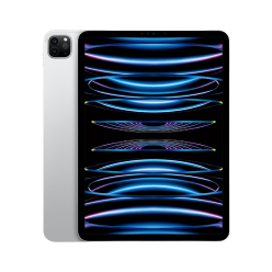 APPLE 11-INCH IPAD PRO